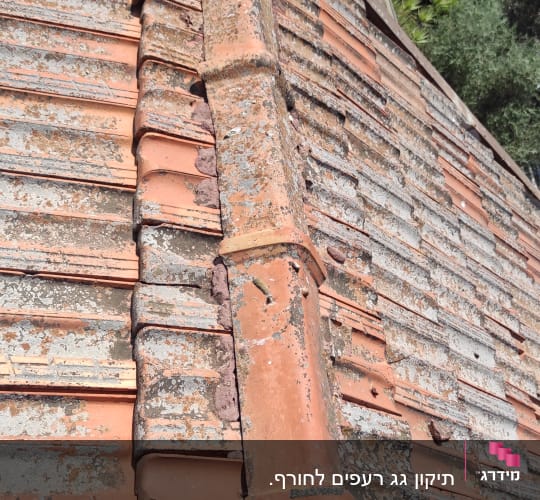 רעפים ישנים עם טחב על גג רעפים